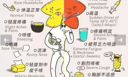大姨妈期间能喝红豆薏仁水吗-大姨妈期间能不能喝红豆薏仁网-分享姨妈期可以喝红豆薏米吗，姨妈期可以喝红豆薏米吗知识库